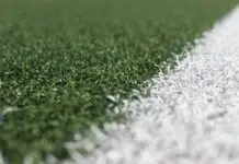 44 kluba podnijela molbe za licence. – fudbalski.com rezultati