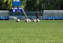 Kreću i juniori, Dinamo u Ždralovima, Hajduk protiv Šibenik – fudbalski.com Krecu I Juniori Dinamo U Zdralovima Hajduk Protiv Sibenik –