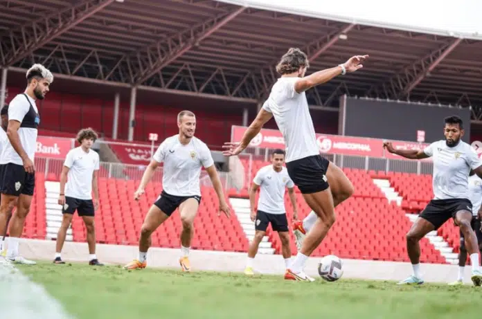 LA LIGA: Almerija prekinula loš niz, pogodio Babić! (VIDEO) La Liga Almerija Prekinula Los Niz Pogodio Babic Video