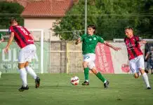 Olimpija se zvanično oprostila od Ziljkića i potvrdila da karijeru nastavlja u Sarajevu Olimpija Se Zvanicno Oprostila Od Ziljkica I Potvrdila Da Karijeru