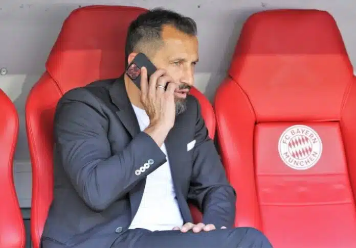 63F3534B 8814 410D 8D45 406B0A0A0A73 Hasan Salihamidzic 1024X683 1 1 Preview