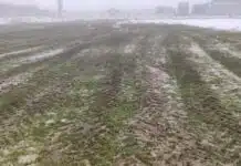 (VIDEO) Nije nikakvo čudo što je teren u Modriči sinoć bio katastrofalan: Mediji u komšiluku ne mogu da vjeruju šta se radilo pred meč Sloge i Veleža Video Nije Nikakvo Cudo Sto Je Teren U Modrici Sinoc