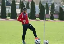 Pranjić: Znam da je pritisak na igračima, ali ako ne možeš to podnijeti ne moraš se baviti sportom Pranjic Znam Da Je Pritisak Na Igracima Ali Ako Ne
