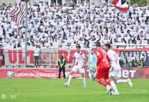 Ultrasi organizuju šampionski karusel pred utakmicu protiv trebinjskog Leotara Ultrasi Organizuju Sampionski Karusel Pred Utakmicu Protiv Trebinjskog Leotara