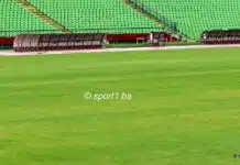 (FOTO) Gljive, djetelina i druge biljke rastu na travnjaku stadiona Koševo Gljive Djetelina I Druge Biljke Rastu Na Travnjaku Stadiona