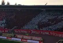 U IŠČEKIVANJU SPEKTAKLA SA FIORENTINOM: Zvezda predstavila nove dresove (FOTO) U Iscekivanju Spektakla Sa Fiorentinom Zvezda Predstavila Nove Dresove