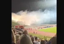 (VIDEO) Ismir Mirvić nije krio da uživa u spektaklu koji su napravile Horde zla Video Ismir Mirvic Nije Krio Da Uziva U Spektaklu Koji