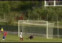 Zvezda je dovela zamjenu za Vasiljevića 1705404081 Zvezda Je Dovela Zamjenu Za Vasiljevica