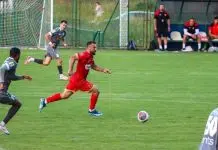 Feđa Dudić otkrio sve slabosti bh. tima Feda Dudic Otkrio Sve Slabosti Bh Tima