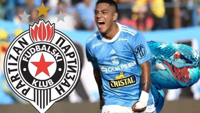 Partizan angažuje predstavnika iz Perua?! - Sportske vijesti Partizan Angazuje Predstavnika Iz Perua Sportske Vijesti