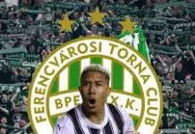 Fudbalski klub Partizan ostao bez napadača – fudbalski.com Fudbalski Klub Partizan Ostao Bez Napadaca Fudbalskicom
