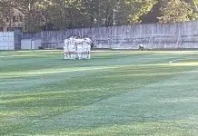 Senzacija u Mostaru: Velibor Pudar s Kruševom eliminisao tuzlansku Slobodu u Kupu Senzacija U Mostaru Velibor Pudar S Krusevom Eliminisao Tuzlansku Slobodu