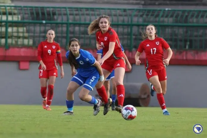 Bosna I Hercegovina Porazena Od Velsa