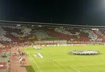 Dvojac Red White prodao se Set-ejjena Dvojac Red White Prodao Se Set Ejjena